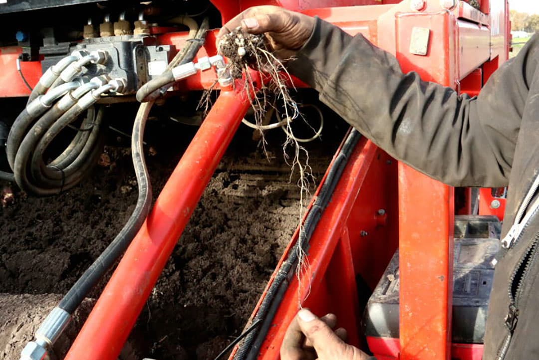 Een detail op de container geeft een indruk van de schoningscapaciteit van de rooier. Het had een dag eerder geregend waardoor de grond nog behoorlijk nat was. Bij droge grond zal er nog minder grond mee in de container gaan. Hoe minder tarra hoe beter.