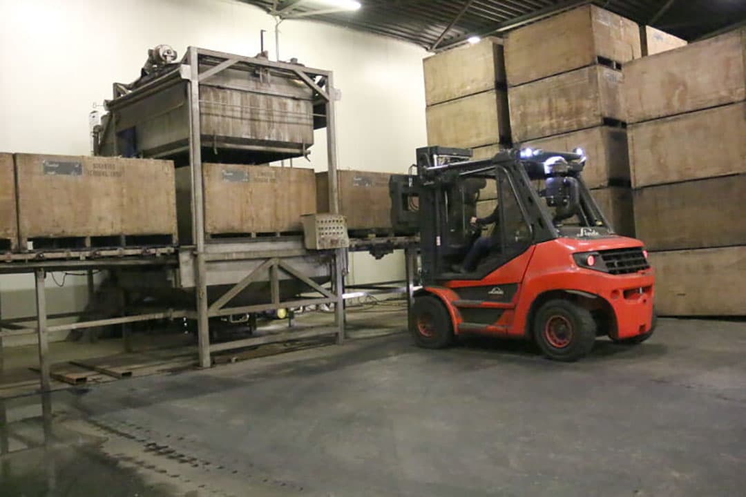 Het 1,80 meter brede pakket grond met knollen wordt probleemloos door de aangepaste Dewulf 2-rijige aardappel bunkerrooier opgepakt.