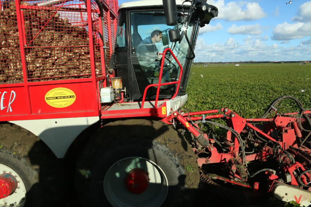 Ook de kopakker is dit jaar door de nog droge ondergrond vrij van schade. Na het rooien gaat er voor het ploegen champost over en ligt het perceel klaar voor aardappelland volgend jaar.
