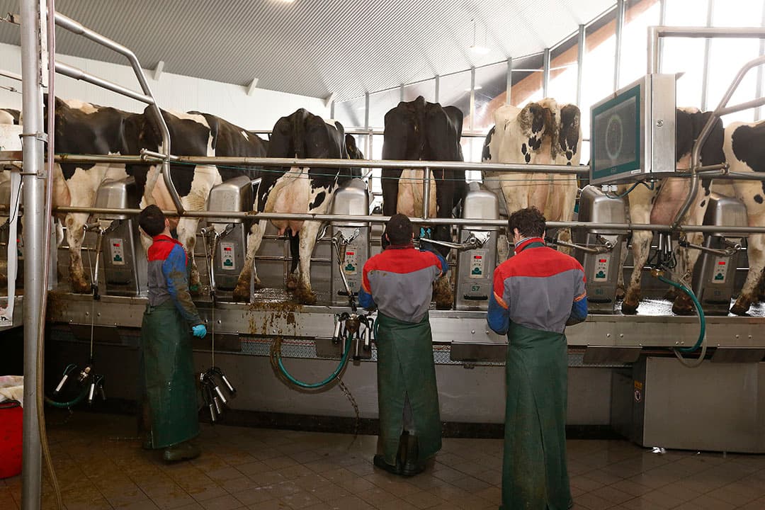 Grote supermarktketens als het Amerikaanse Wall Mart zijn begonnen met het produceren van hun eigen zuivel. Hiervoor richten ze bedrijven op met 30.000 tot 40.000 melkkoeien. Dit doen ze om de voedselveiligheid te kunnen garanderen. Ook Vrebamelkvee denkt, door zelf zuivelproducten te produceren, de voedselveiligheid te kunnen garanderen. De eerste installaties daarvoor zijn inmiddels in aanbouw. Het begint met het scheiden van de melk in room en magere melk. In 2019 hoopt Vreba eigen producten in de winkels te hebben liggen.