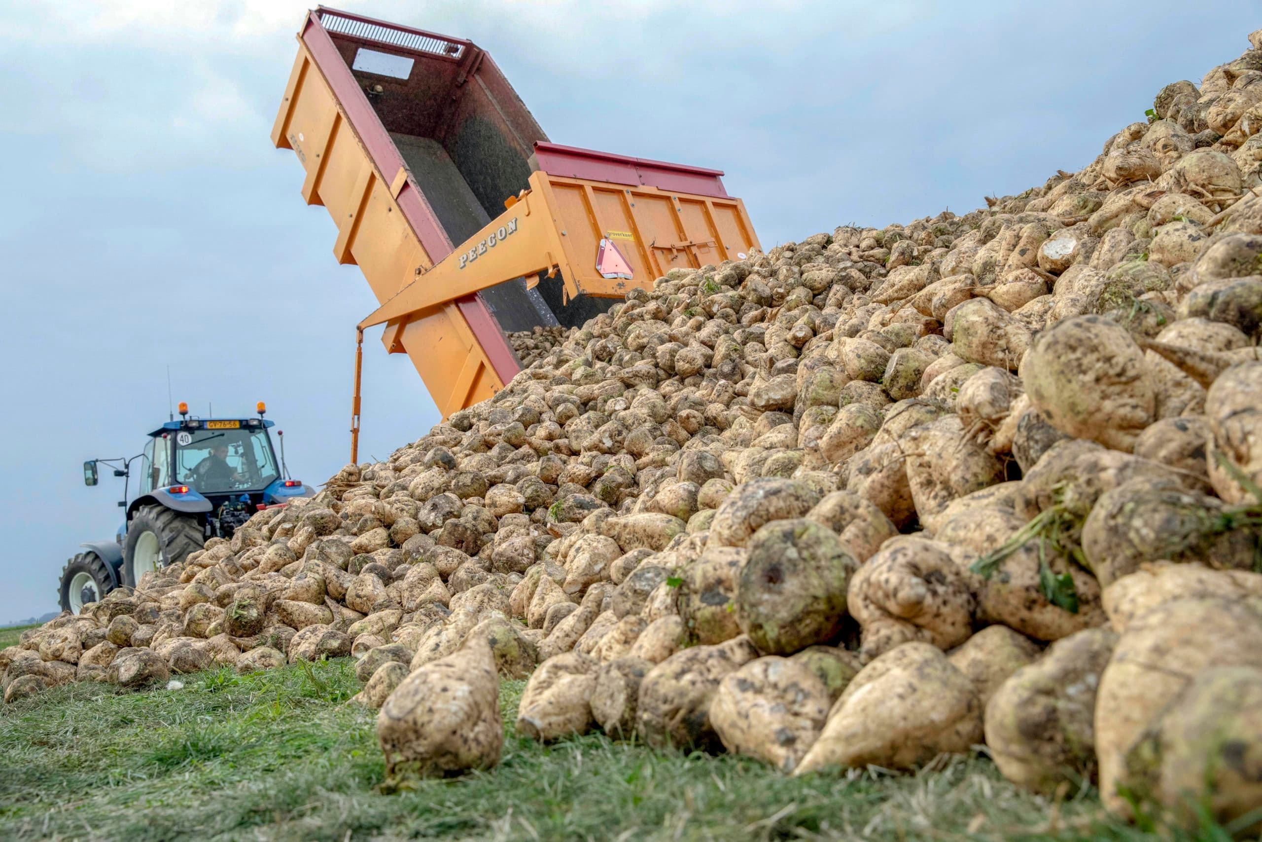 Foto: Boerderij
