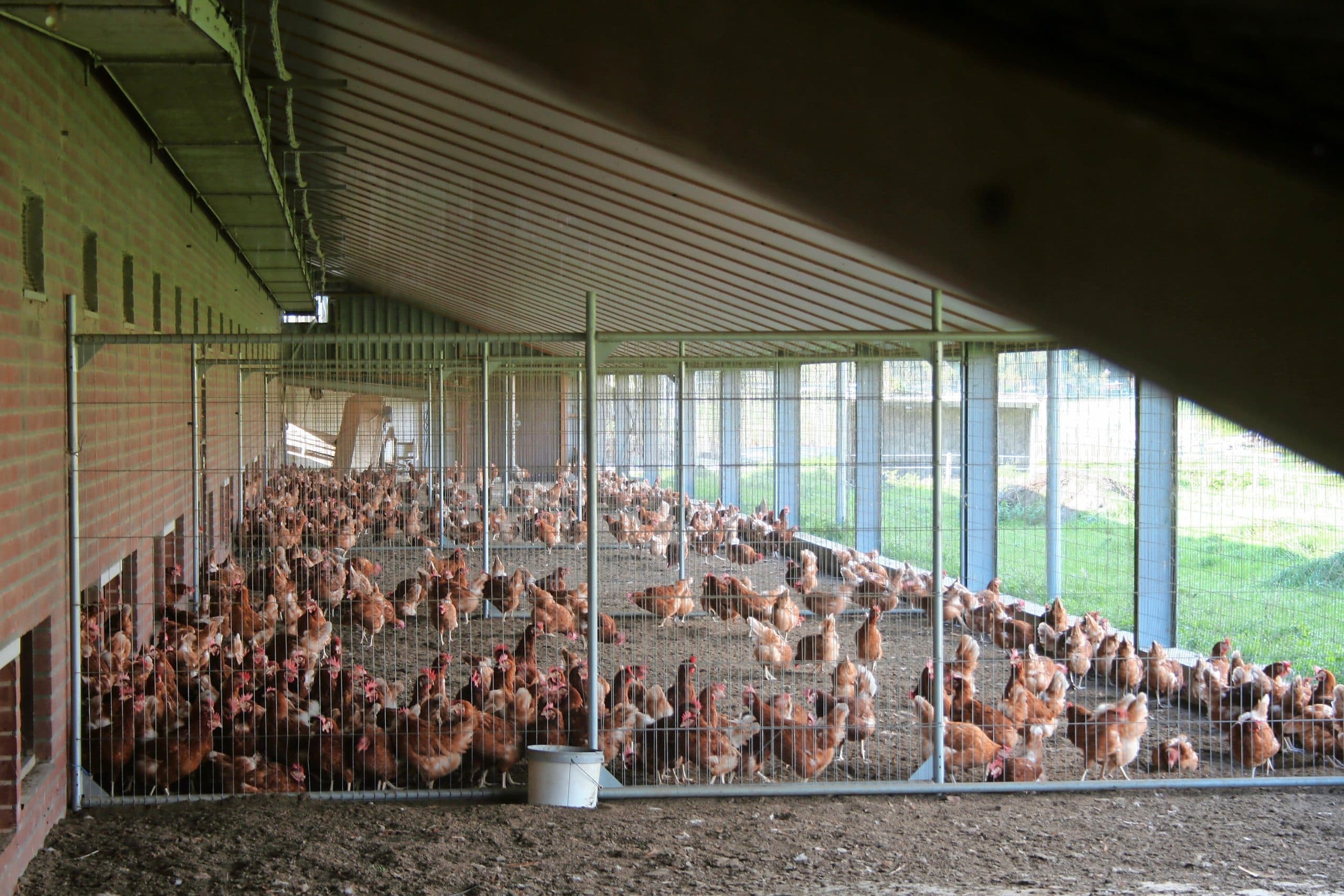 Foto: Hans Bijleveld