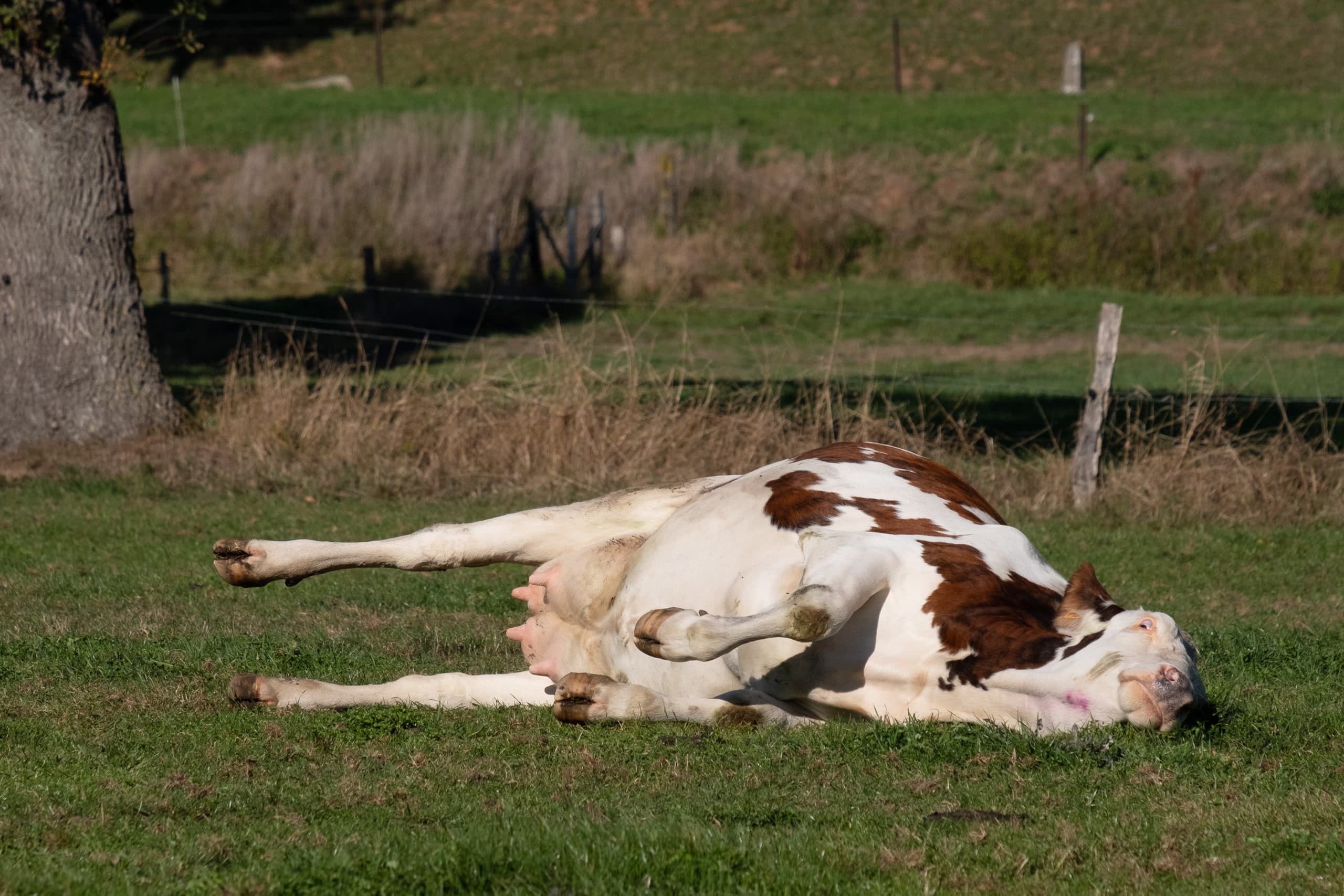 Foto: Twan Wiermans