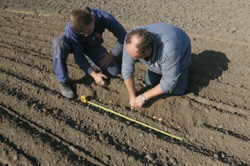 Stagiair Tim Nieuwenhuijse assisteert bij het vullen van de plantbak.