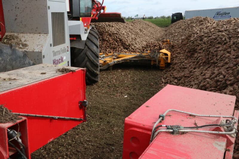 Foto's: Anton Dingemanse