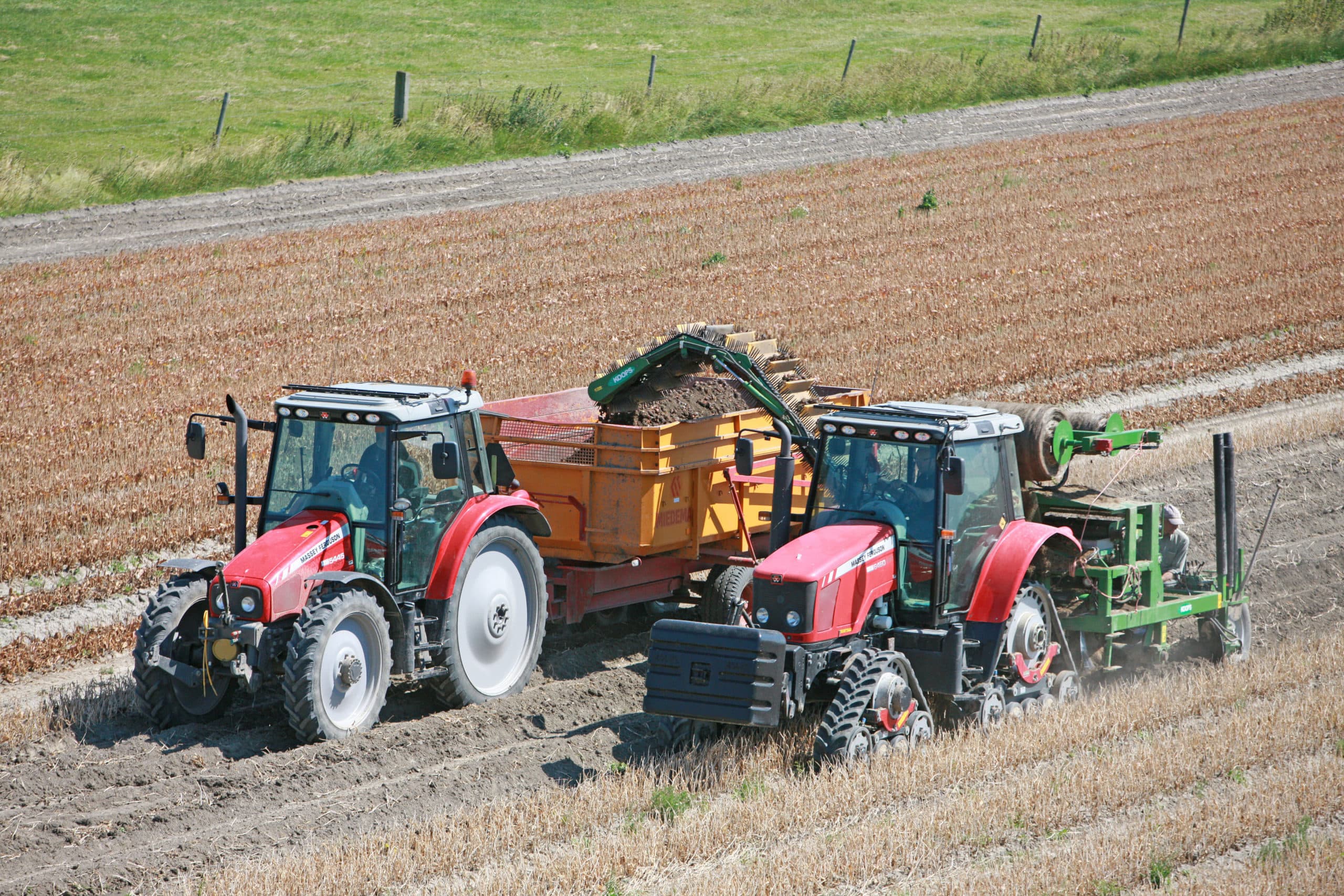 Foto: Koos van der Spek