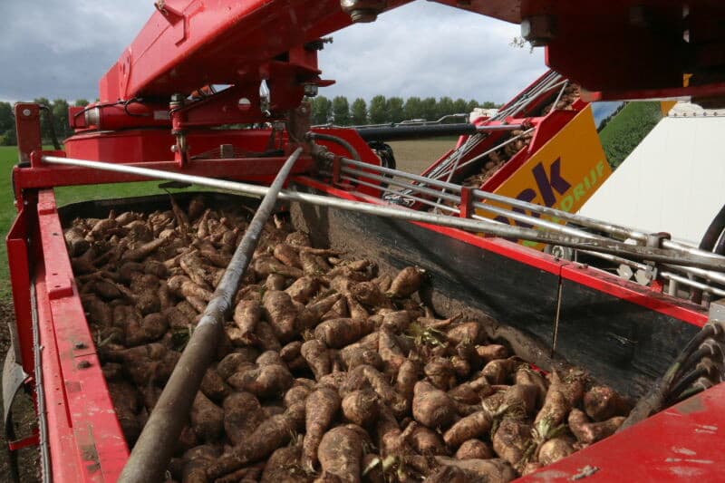 De vijzel aan het werk. Door het draaien van de vijzel komt de hoop plaatselijk in beweging en valt geleidelijk in bek. De veegarm hoeft nu nog nauwelijks gebruikt te worden.