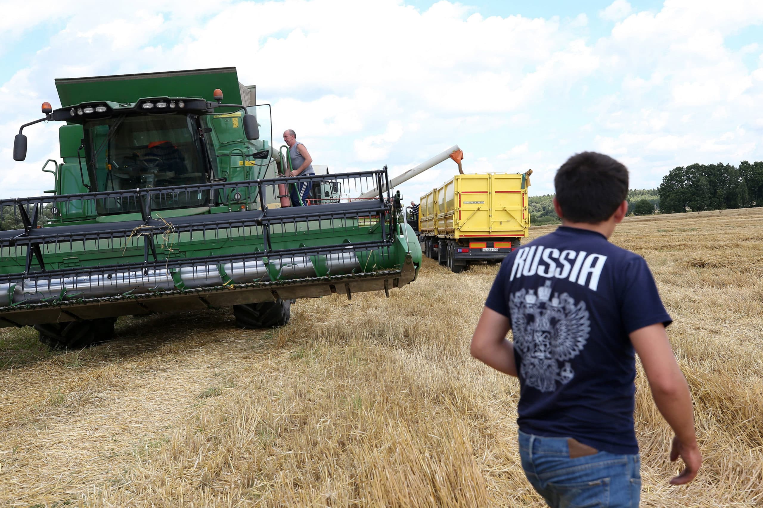 Graanoogst in Rusland. - Foto: ANP
