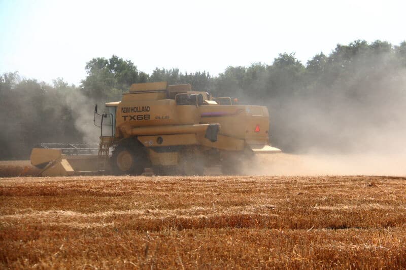 Deze wagen is zo goed als vol en kan weg gebracht worden. Als het uit komt wordt de tank tijdens het dorsen gelost.