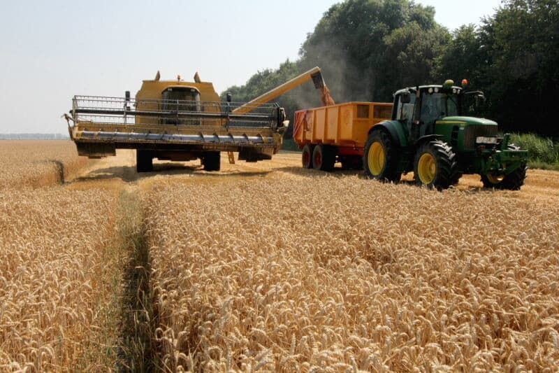 Bij Kerkwerve dorst Giljan de Vlieger Reform wintertarwe. De chauffeur volgt de combine om beschikbaar te zijn voor het lossen.