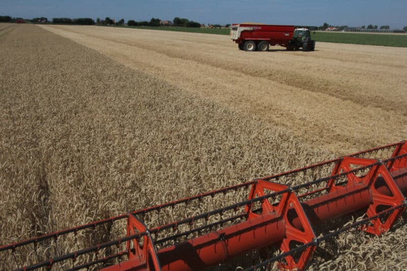 Er wordt met 2 combines gedorst. Een vrij nieuwe New Holland CX 6080 en een Laverda 3890 uit 1989. Deze Laverda is stofgevoelig en moet van tijd tot tijd schoon gemaakt worden. Thijs van der Torren blaast de machine met perslucht weer eens schoon.