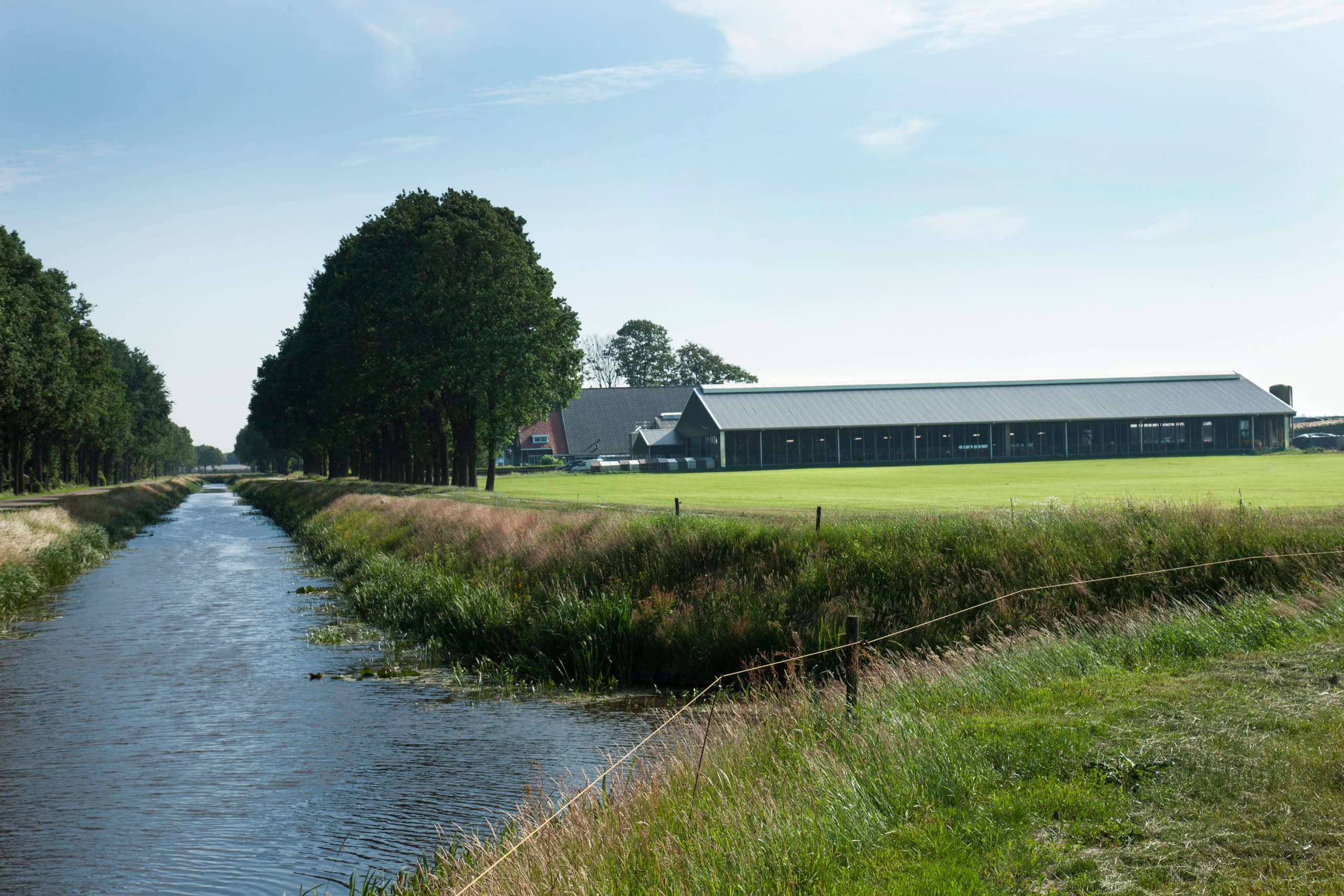 Foto: Hans Banus