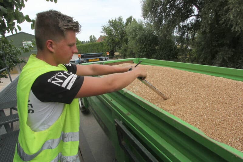 Met een shovel wordt de tarwe opgewerkt om zo veel mogelijk vrachten kwijt te kunnen in de loods.