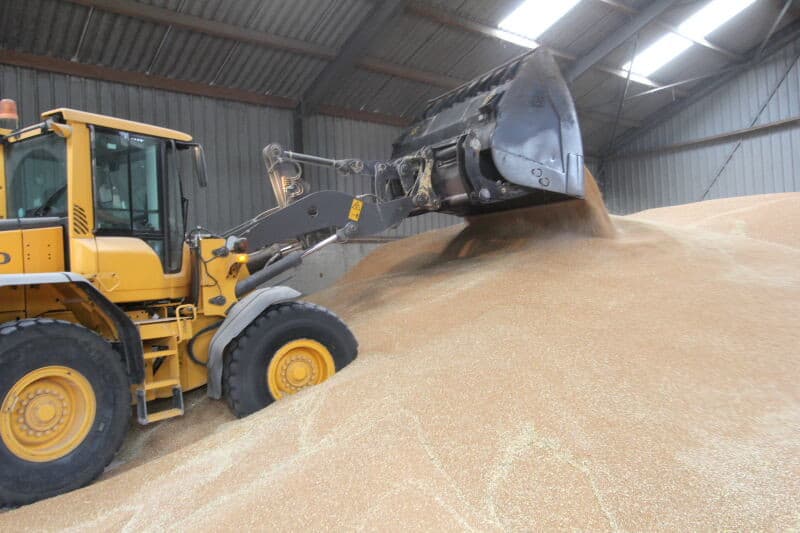 Enkele dagen na het combinen perst loonwerker Minnaard het stro voor teler Witte. Normaal komt een dergelijk pak stro aan de 300 kilo, nu lukt dat niet omdat het stro gortdroog is.
