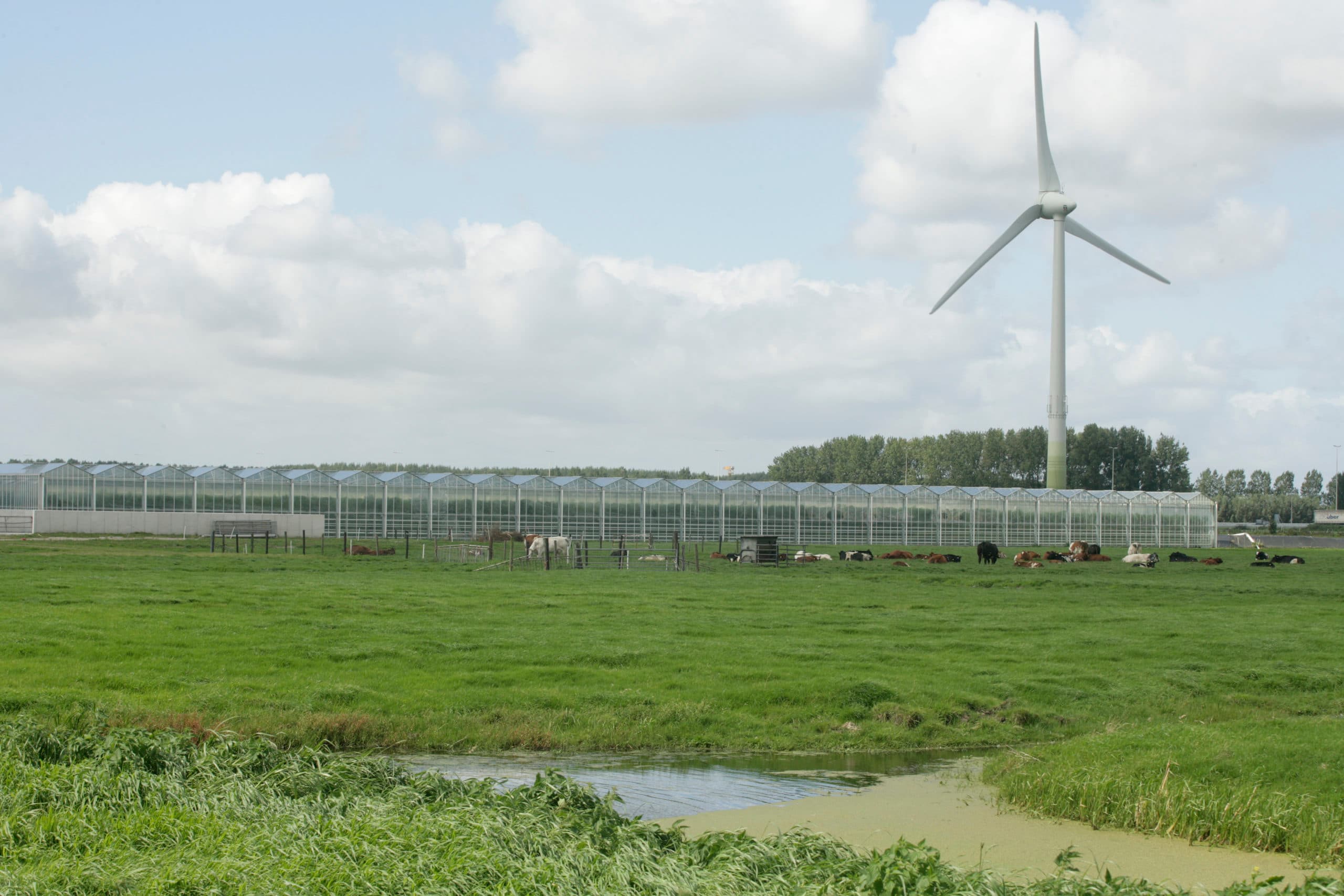 Foto: Koos Groenewold