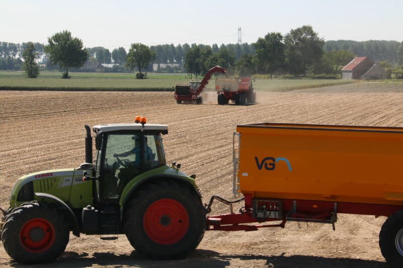 In cellen liggen de uien enkele dagen en worden droog geblazen onder een constante temperatuur van 22 graden.