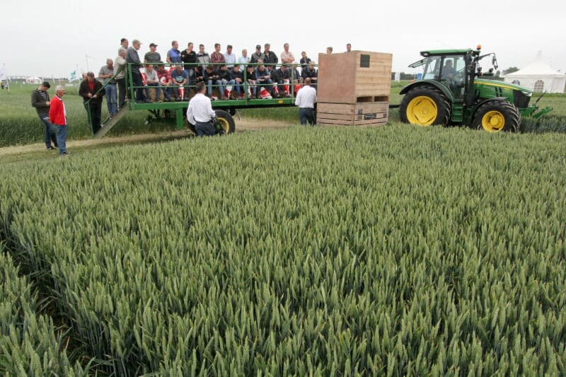 Het motto van CZAV blijft: 'Op naar de 15 ton tarwe per hectare'. Om dit te verwezenlijken ligt hier een uitgebreide bemestingsproef. Er is nu nog weinig te constateren bij de verschillende proeven. Alleen het onbehandelde veld vooraan valt op. Na het dorsen zal blijken welke bemestingsstrategieën het beste resultaat opleveren.