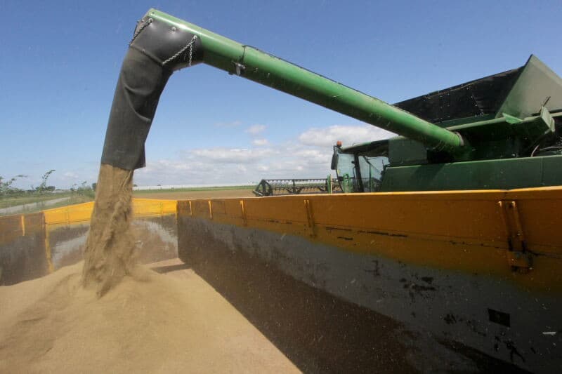 Het zaad van het tweejarig veld wordt apart gehouden. De combine gaat op de terugweg naar huis langs de veiling waar het zaad in kisten gedaan wordt. Zaad drogen is een nevenactiviteit van de aardappelveiling.