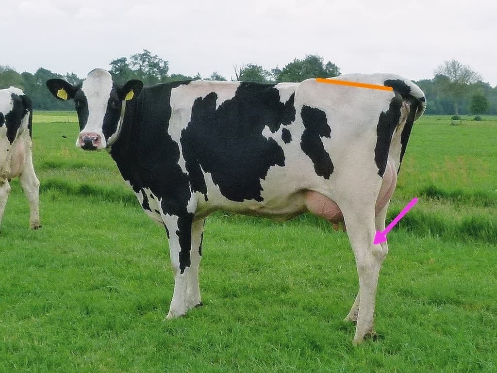 Rondom de nieuwe rijhendel zit een flinke rij knoppen gesorteerd op led-kleuren en een joystick voor 27 functies. - Foto: Frits Huiden