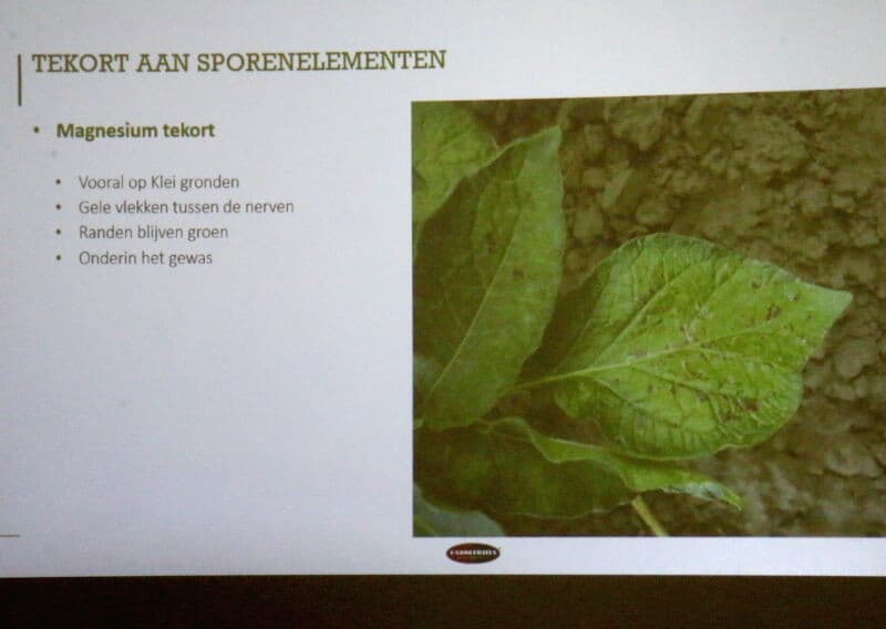 Leermakers licht de door hemzelf verzamelde data op een tablet toe.