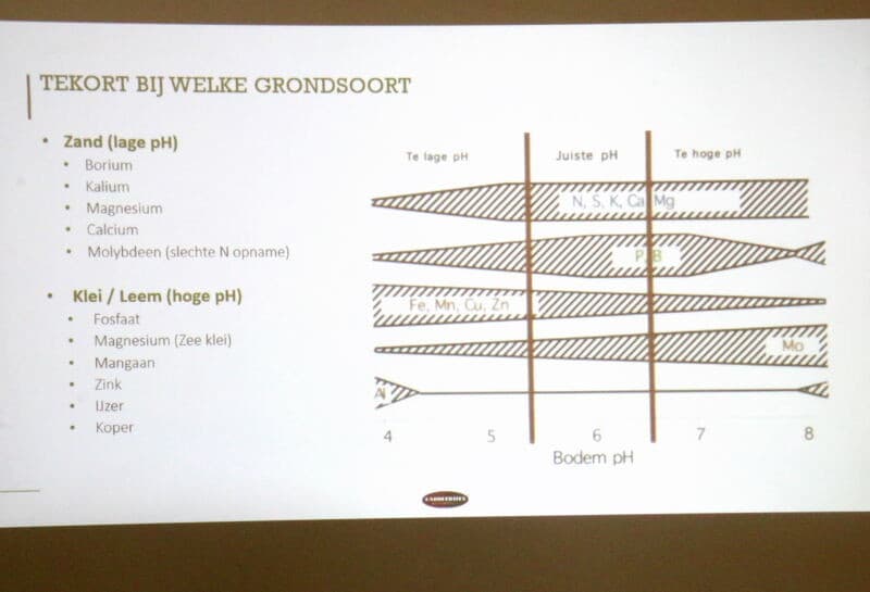 Interessant was ook de uiteenzetting die Cees van den Hoek van Farm Frites gaf over de invloed van sporenelementen op de kwaliteit van de aardappel. Hier een voorbeeld hoe een tekort aan magnesium herkend kan worden.