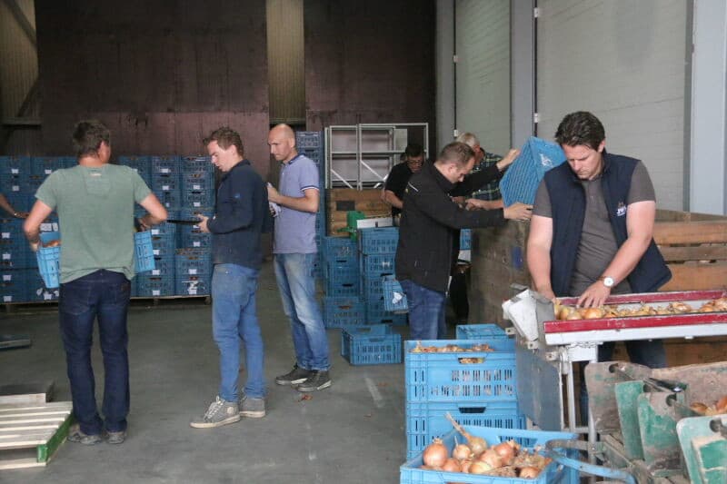 Een ander verschijnsel dat werd waargenomen is een dubbele ui. Dit kan bij bepaalde rassen ontstaan ten gevolge van kiem- en groeiomstandigheden maar is uiteraard geen ziekte. Het aangetroffen percentage afwijkingen bij deze keuring was overigens gering. De nu geconstateerde afwijkingen zijn deels te wijten aan de typische groeiomstandigheden in het afgelopen seizoen.