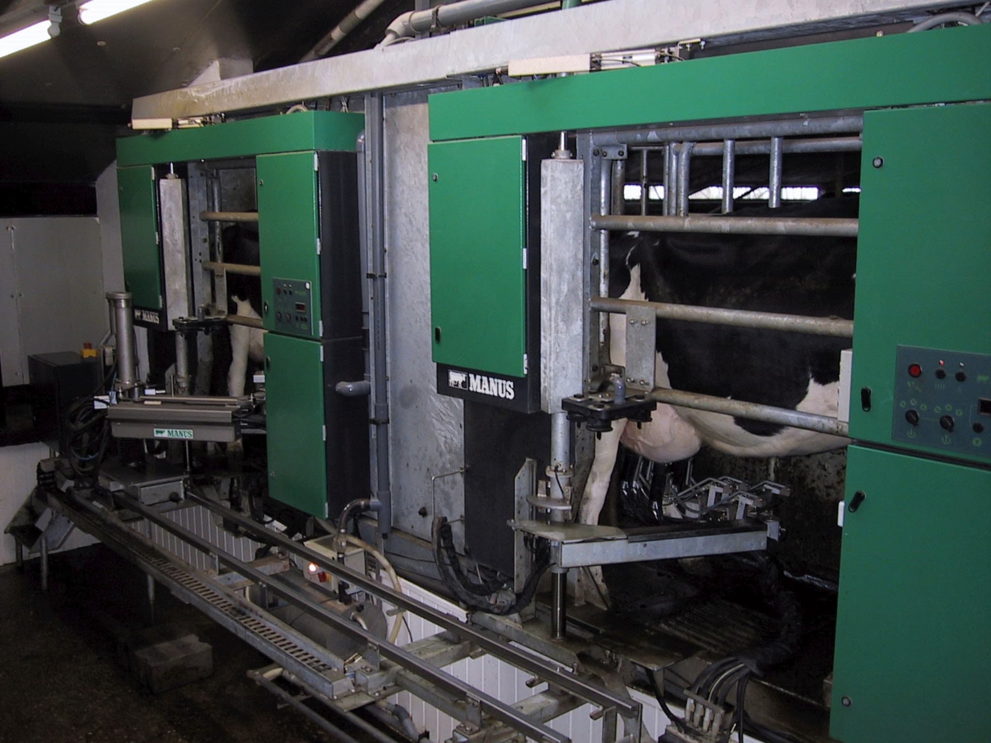 Een Manus-melkrobot van zo'n twintig jaar geleden. - Foto: archief Boerderij
