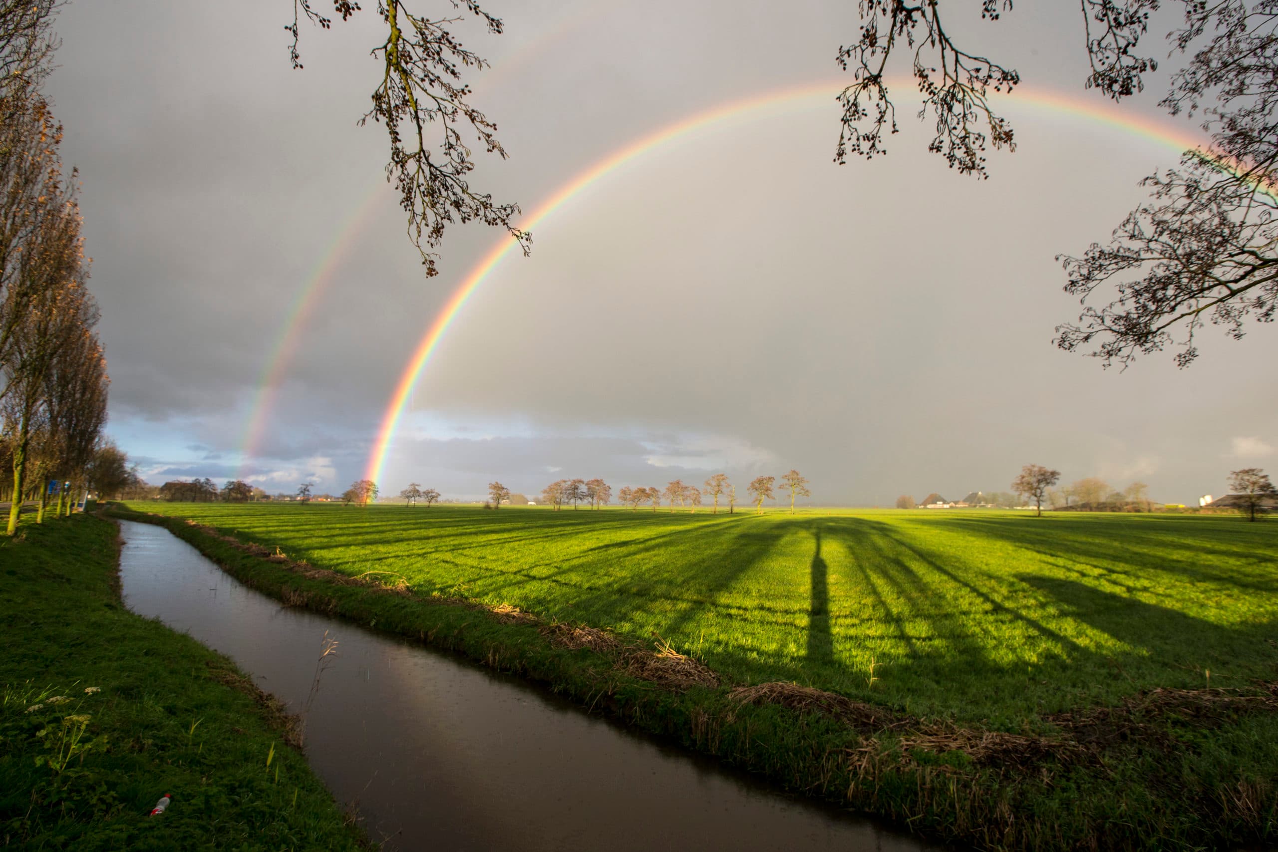 Foto: Anne van der Woude