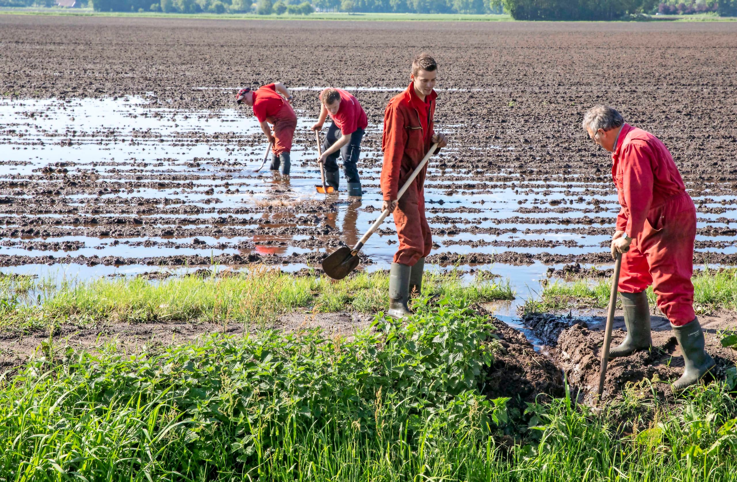Foto: Koos van der Spek