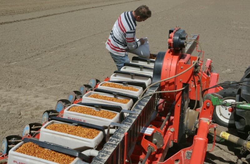 Voordat Termont en Thomaes het zaaigoed aflevert, wordt het NAK-gecertificeerd uitgangsmateriaal eerst bij ontsmet met gebruik van deze installatie.