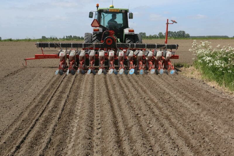 Termont en Thomaes in Biervliet leveren het uitgangsmateriaal. De geoogste bonen gaan ook naar dit bedrijf. Ondanks de opname van bonen in de voedselschijf is van een grotere vraag naar bruine bonen nog niet veel te merken. Om de teelt en afzet van droge peulvruchten te verbreden, zet het handelsbedrijf proeven op om te kijken of teelt van andere peulvruchten mogelijk perspectief biedt.