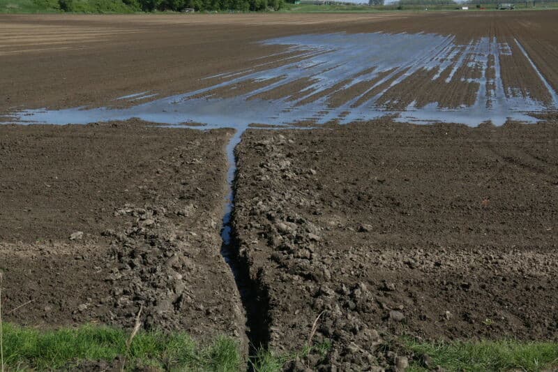 Zaaiwerk ligt stil in Zeeland na wateroverlast