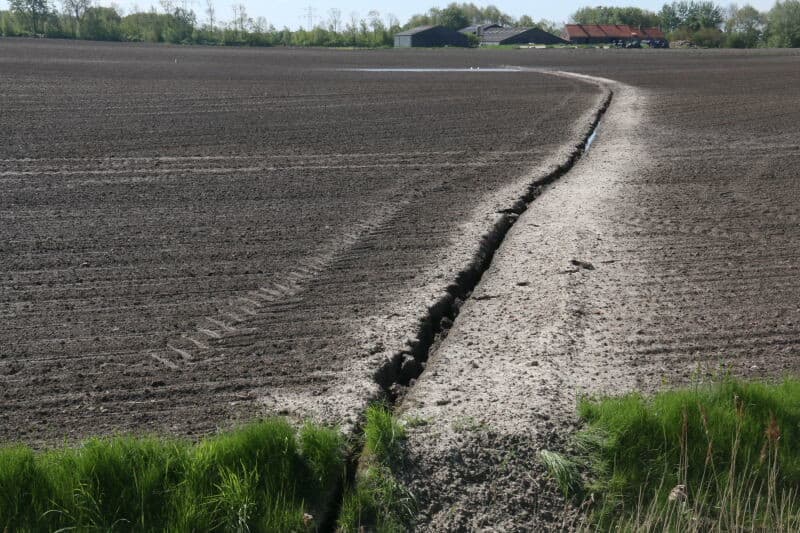 Anders is dat op dit perceel op Schouwen-Duiveland. Hier staat na ongeveer 35 uur nog water tussen de ruggen. Deze ruggen zijn nog niet gefreesd, dus deze poters gaan zo goed als zeker rotten. Het is gelukkig maar een plek in een perceel. Op Goeree-Overflakkee en met name in de Hoeksche-Waard, waar veel meer water viel dan 50 à 65 millimeter in Zeeland, hebben grote stukken van percelen met dit euvel te kampen. De problematiek hakt er daar veel dieper in.