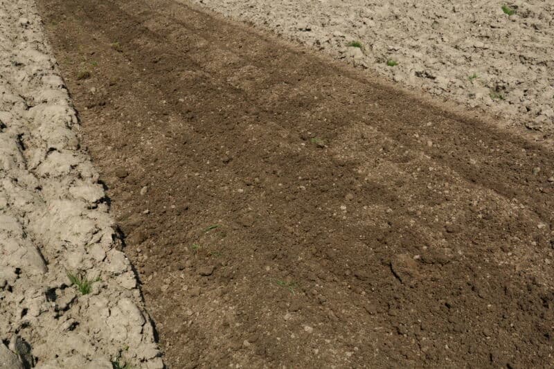Het gepote deel laat duidelijk zien dat de bodem zeker nog niet egaal droog is. Het perceel is vrij bont.
