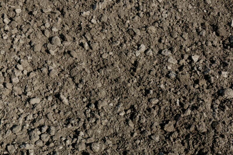 Loonbedrijf Van de Velde zaait suikerbieten voor Den Hartog in Kerkwerve.