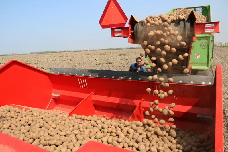 De banden van de trekker en de Miedema blijven behoorlijk schoon, maar de wieltjes van de Ureaninjecteur laden toch wat aan. Bart van der Wekken maakt tijdens het laden de wieltjes even vrij van klei.