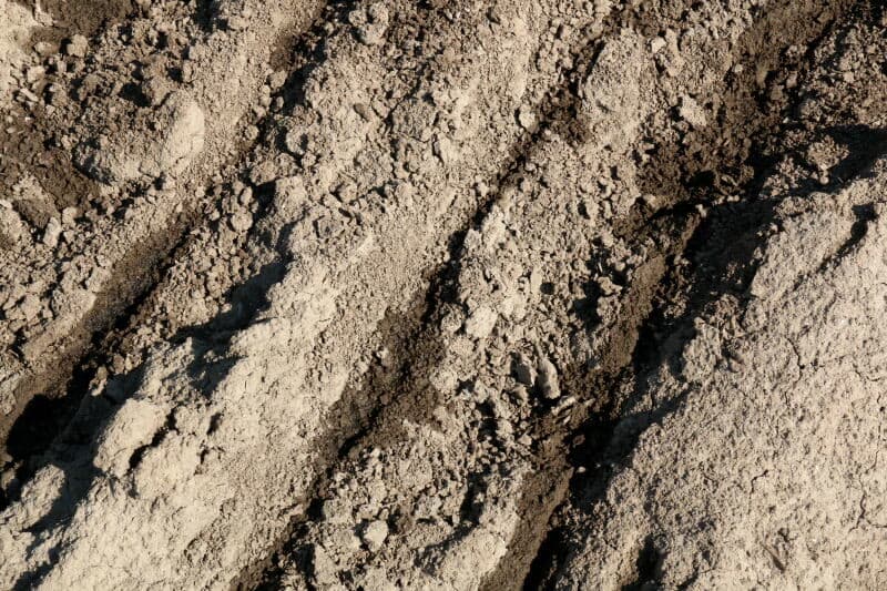 Maatschap Manni in Ouwerkerk plant nog een perceel Sturon plantuien. Dit jaar kenmerkt zich door een lange plantperiode van 2de jaars plantuien, de 1ste uien zijn februari al geplant, terwijl de laatste eind april pas geplant de grond in gaan.