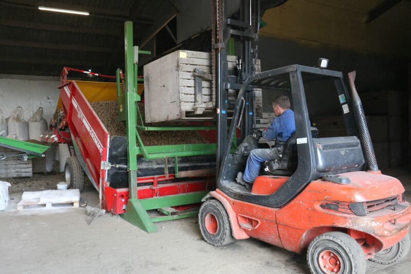 Het doorsnijden is optimaal wanneer de 2 delen van de poter nog net aan elkaar vast blijven zitten. Hierdoor blijft de sapstroom min of meer intact wat de wondheling bevordert. In de praktijk blijven niet veel helften aan elkaar zitten.
