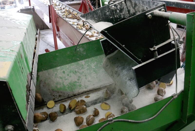 In verband met de capaciteit van de snijmachine wordt een kist met pootgoed stapsgewijs met de kantelaar in de stortbak geleegd. Bij een te grote aanvoer van poters op de rollenbaan komen ze dubbel te liggen en die worden dan niet doorgesneden.