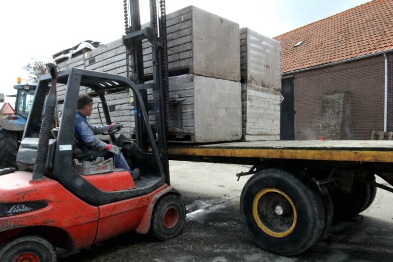 De doorgesneden poters gaan in kisten en worden buiten gezet om te drogen en een beetje voor te kiemen.