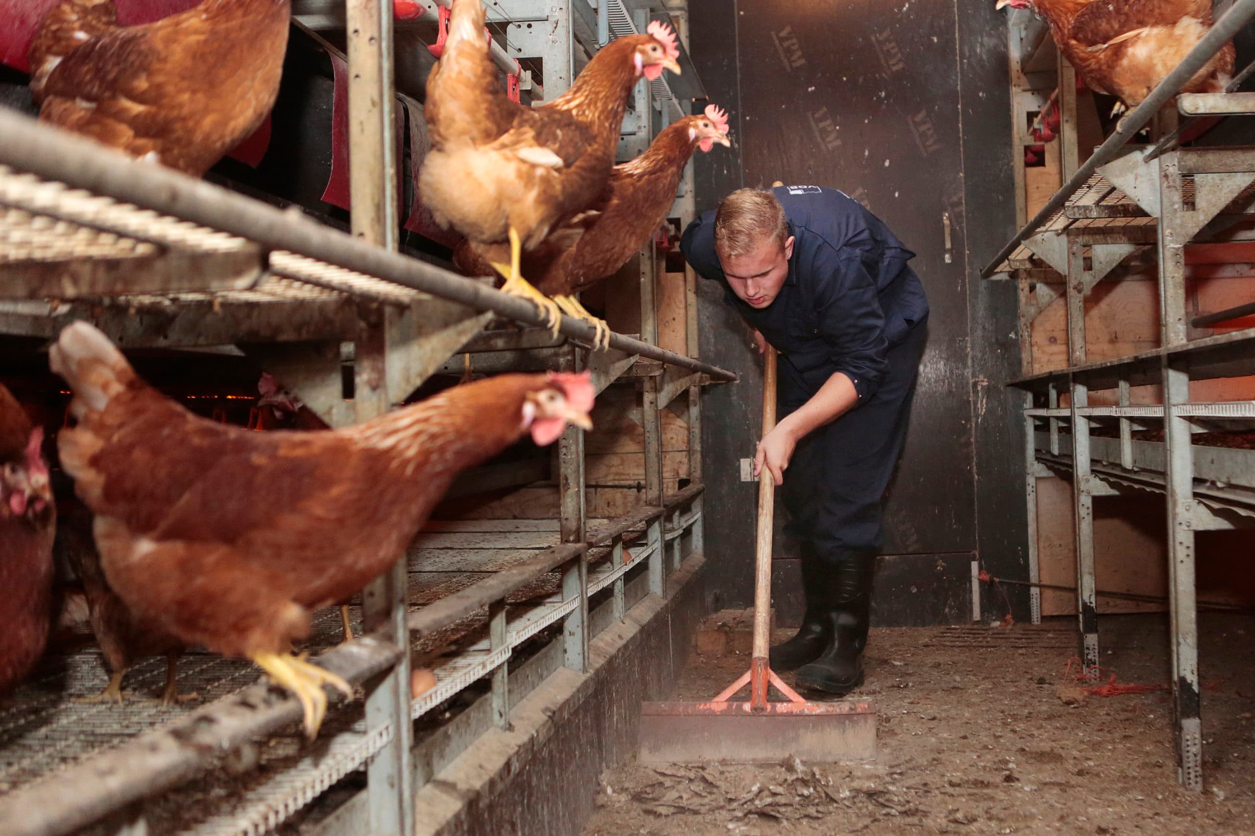 Foto: Ton Kastermans