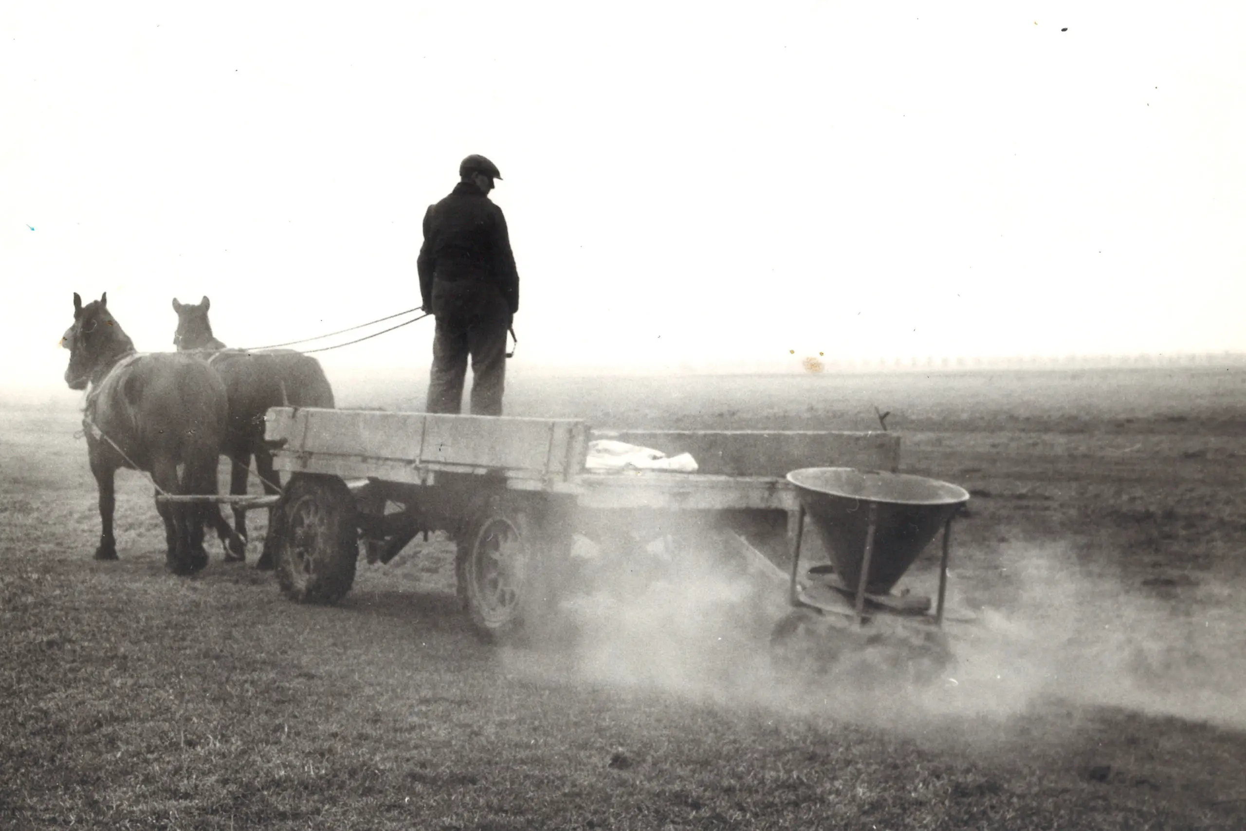 Tot 1950 is Thomasslakkenmeel als fosfaatkunstmest erg veel gebruikt. Daarna nam het af, mede doordat het niet oplost in water en maar langzaam vrijkomt voor het gewas. - Foto: Misset