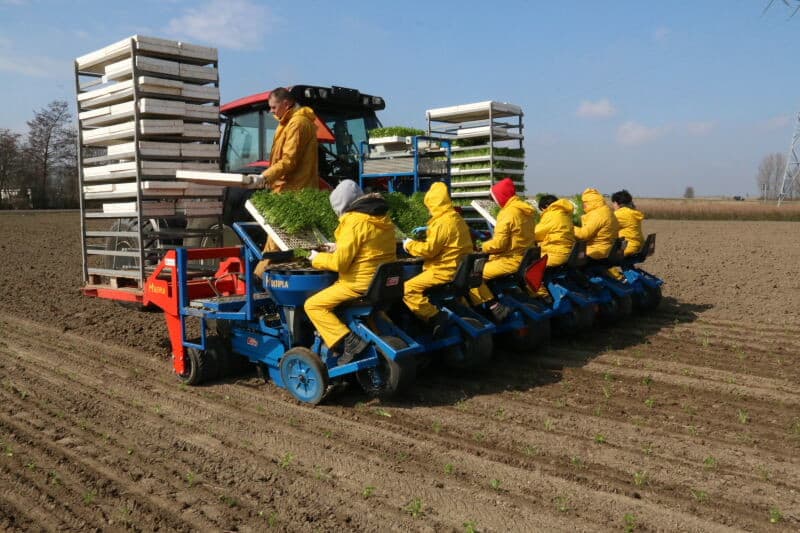 De Holder-tuinfrees met ploeg. Zo blijken historische machines nog goed dienst te kunnen doen.
