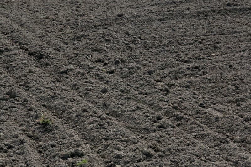 Het vliesdoek wordt over het plantbed uitgespreid en tegen wegwaaien in de voor vastgelegd.