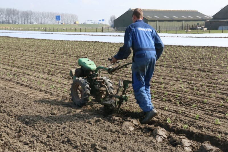 De weersomstandigheden waaronder geplant is, waren prima. Droog, zonnig en weinig wind. Dat laatste was voor het leggen van vliesdoek wel zo prettig.