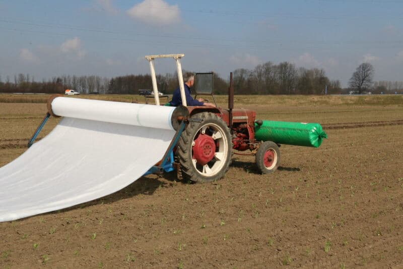 Om het vliesdoek goed vast te kunnen leggen, ploegt Marinus Vermue naast het plantbed met een tuinfrees een voor.