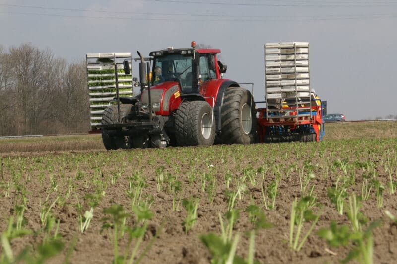 Het perceel is na de aardappeloogst geploegd en daags voor het planten voorbewerkt met deze in de jaren 80 zelfgebouwde sneleg.