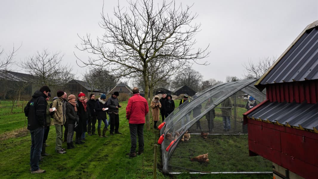 Excursie op notenboerderij Bisschop in Kallenkote van Roderik de Vries: kippen in een verrijdbare voliere onder de notenbomen. Foto: Foto: Xavier San Giorgi