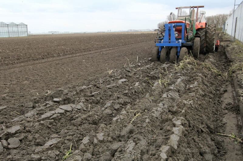 Gunter plant in een rug die meteen na het roteren wordt gevormd. Hiervoor heeft hij de achterste rol van de rotoreg verwijderd en daar de constructie voor rugopbouw gemonteerd. Hiermee wordt voorkomen dat de losse grond weer door de trekkerwielen wordt vastgereden en kluiten ontstaan. Voor deze teelt zijn kluiten in de rug zeer ongewenst, omdat deze het tere velletje van de primeur tijdens het rooien makkelijk kunnen beschadigen.
