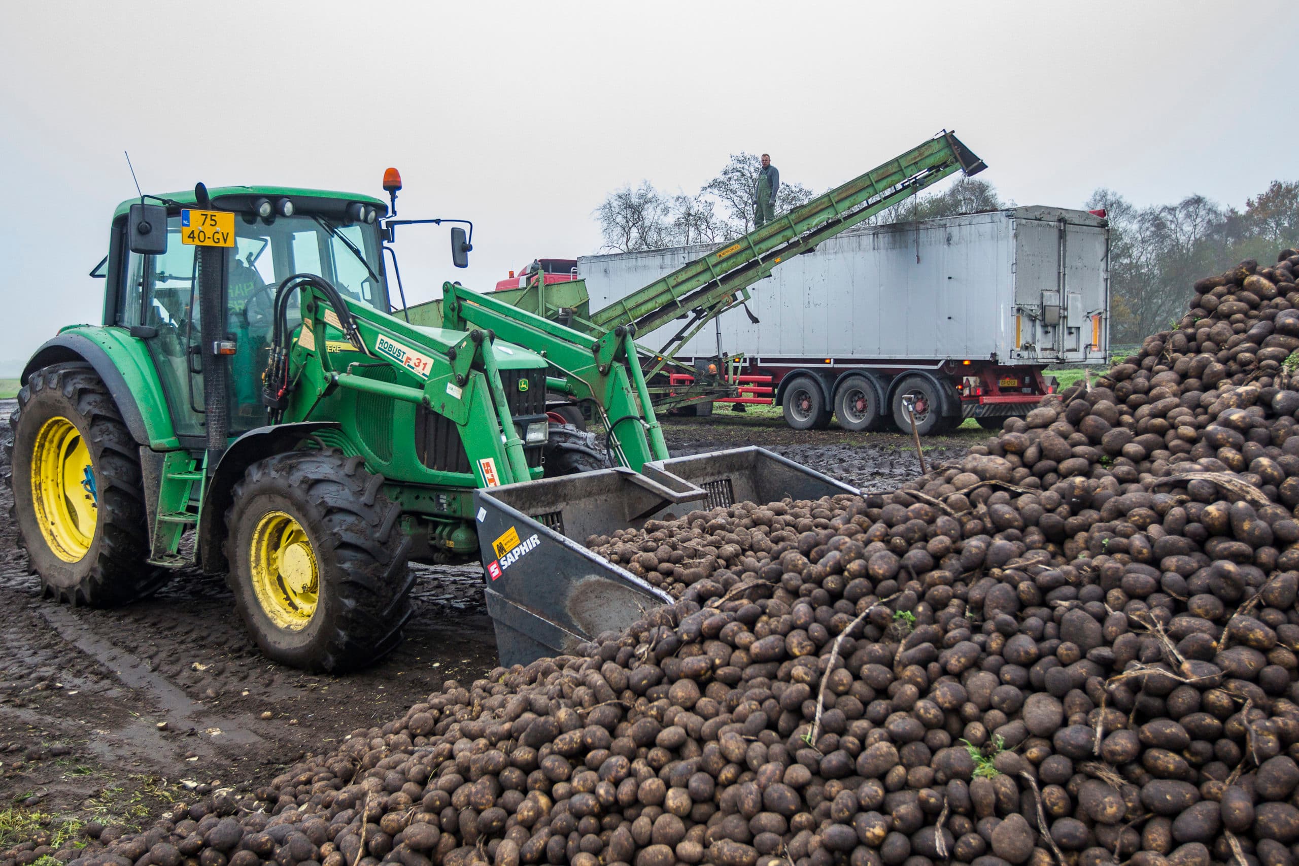 Roelf Vos, aardappels rooien, Daalerveen 405402